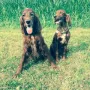 Papa und Tocher; Deputy Daniel und Remember Winny