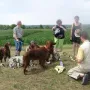 Die Rast wird genossen