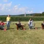 Hündinnen Erwachsene