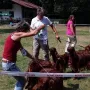 ZG 1 mit Kathy, Neila und Donerl gewinnt
