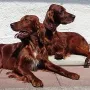 Remember Winny und Kathy