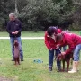 Showtraining