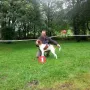 Puppy´s Rüden