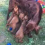 Mamas Milch ist ist einfach die beste.. 