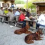 Am Freitag vor unserem Treffen Essen im Wölflhof