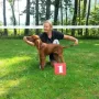Tango bestes Rüdenbaby
