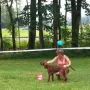 Hündinnen Babys Platzierungen