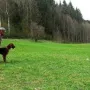 Tango 