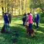 Aufmerksame Teilnehmer und Hunde
