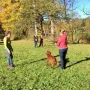 Vino Rosso interessiert sich für die Wachtel