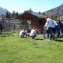 Welpenshow Y²-Wurf