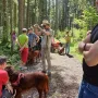 Revierrunde durch den Märchenwald