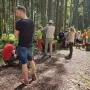 Märchenwald 