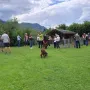 Welpenshow C³-Wurf -ein Sommerfest der Gebirgsjäger-