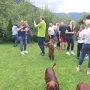 Alles per Bild festgehalten