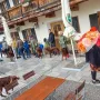 Empfang beim Hammerwirt
