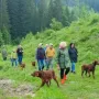 Revierrunde im Märchenwald