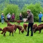 Sektempfang im Stammhaus der Gebirgsjäger