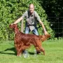 CAC BOB und BIS für Xeres vom Gebirgsjägerhof