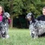 Juniorhandling 1. Preis Lea Molnar, 2. Preis Philipp Poschenrieder 