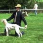 Elitiste Mr Rodney von der Guldegg