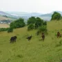 Eine herrliche Gegend zum toben.