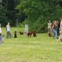 Vorbereitung zum Apportierwettbewerb.
