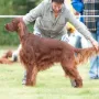 Duke CAC Landessieger Bayern