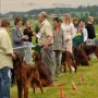 IS Rüden Offene Klasse
