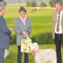 Großer Dank an unsere Richter