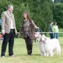Zuchtgruppe von der Guldegg 1. Platz