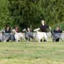 Nachzuchtgruppe ES von der Guldegg 1. Platz