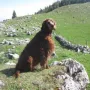 Eyreen in Warteposition, wann kommmen sie?
