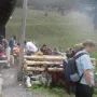 Langsam kommen sie alle.