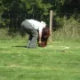 Eierapportierwettbewerb