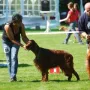 Duke mit Christine