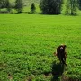 Die Setter sind schon in Form!