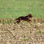 Wo zieht es mich hin??