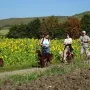 Der gemeinsame Spaziergang ist wunderschön.