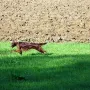 Ein Flitzer..!