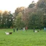 Der letzte Treff!