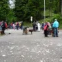 Treffpunkt am Parkplatz Kurvenlift
