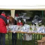 Die Tombola