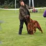 Xtreme v. Gebirgsjägerhof Vet.-Klasse