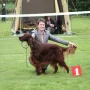 Herr Werner gewinnt die Championklasse