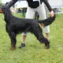 GS Rüden Jugend