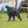 GS Rüden OKL