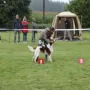 IRWS Rüden GKL BOB