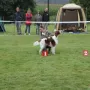 IRWS Rüden GKL