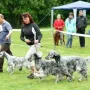 Zuchtgruppe Kennel Fairray 1. Platz